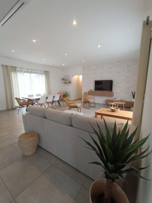 Villa Des Rives Du Tarn Avec Jacuzzi Montans Εξωτερικό φωτογραφία