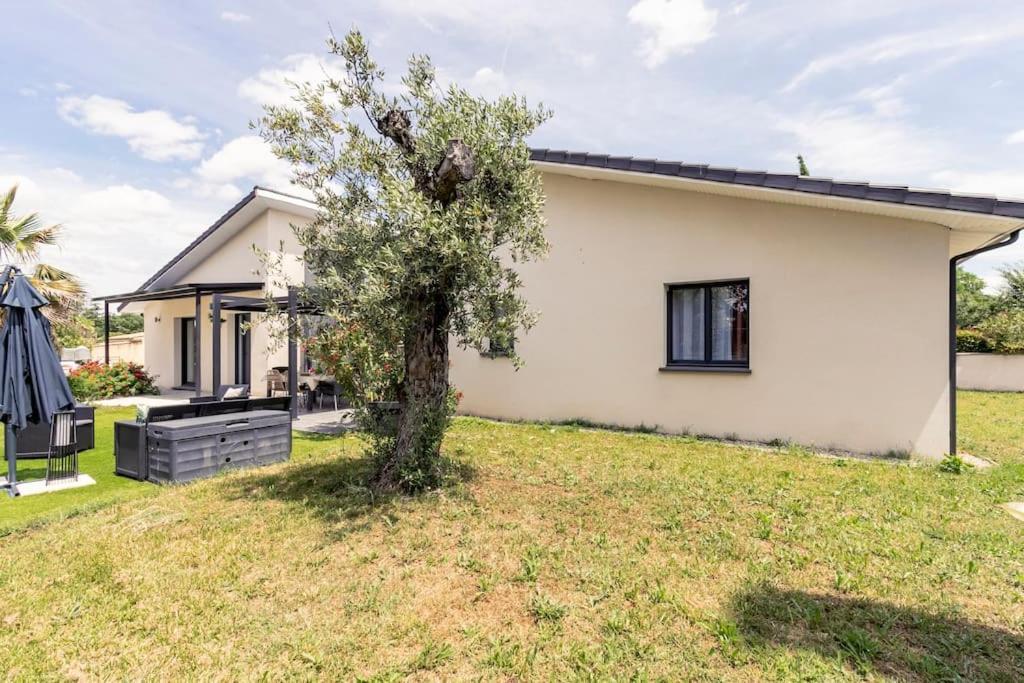 Villa Des Rives Du Tarn Avec Jacuzzi Montans Εξωτερικό φωτογραφία